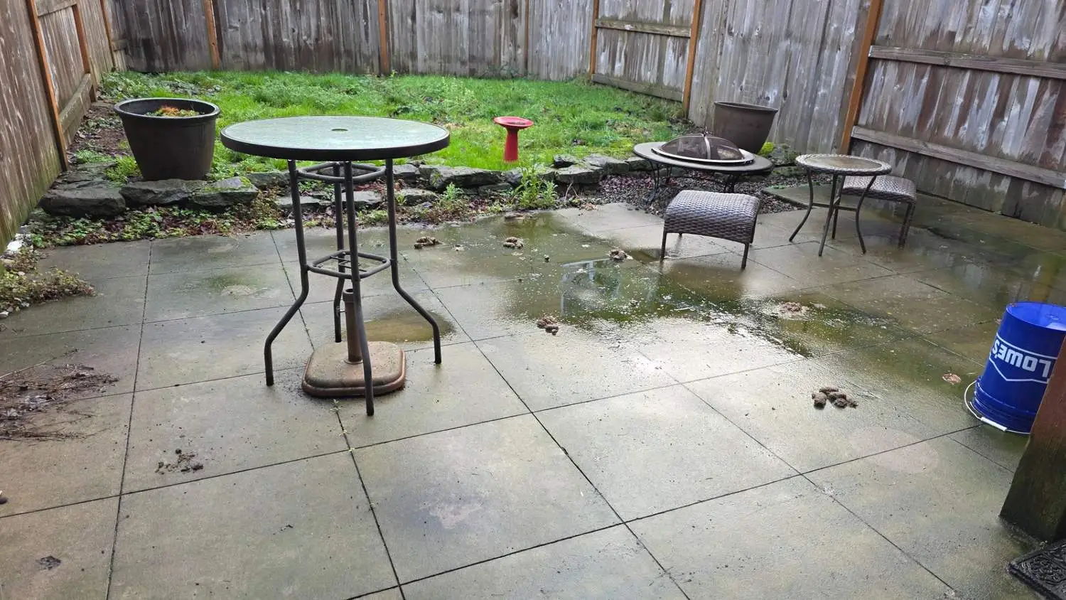 Before: Portland yard with pet waste issues